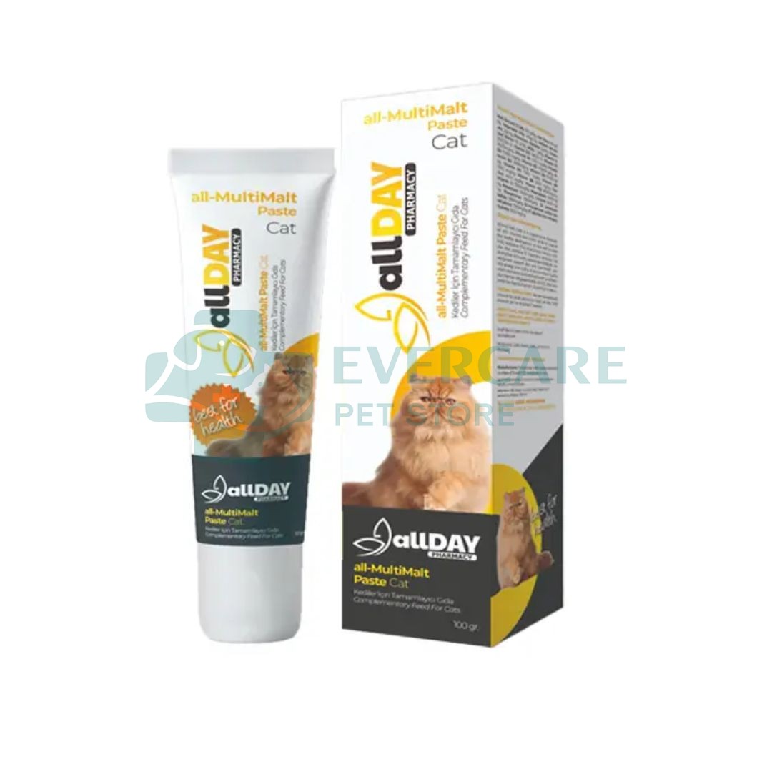 ALLDAY All Salmon Oil Vitamin Paste For Pets - 100 Gram