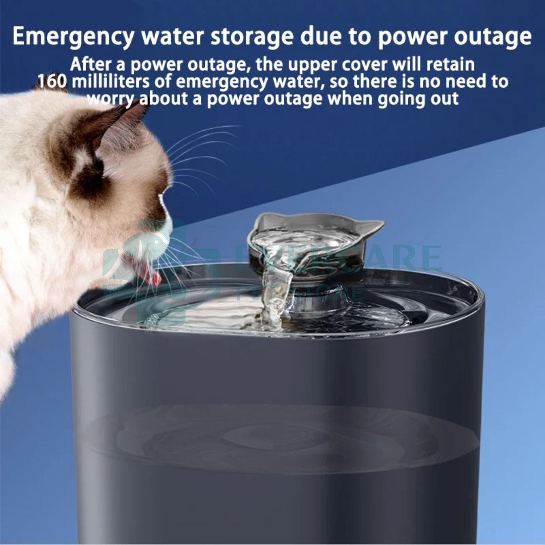 Cat Face type Water Fountain With Motion Sensor
