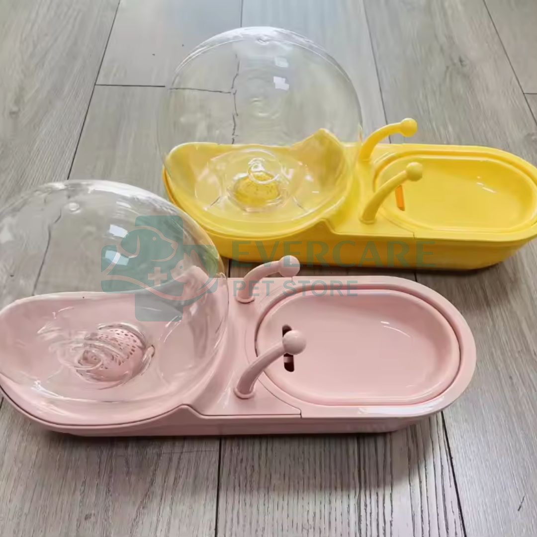 Snail Shaped Cat Water Fountain