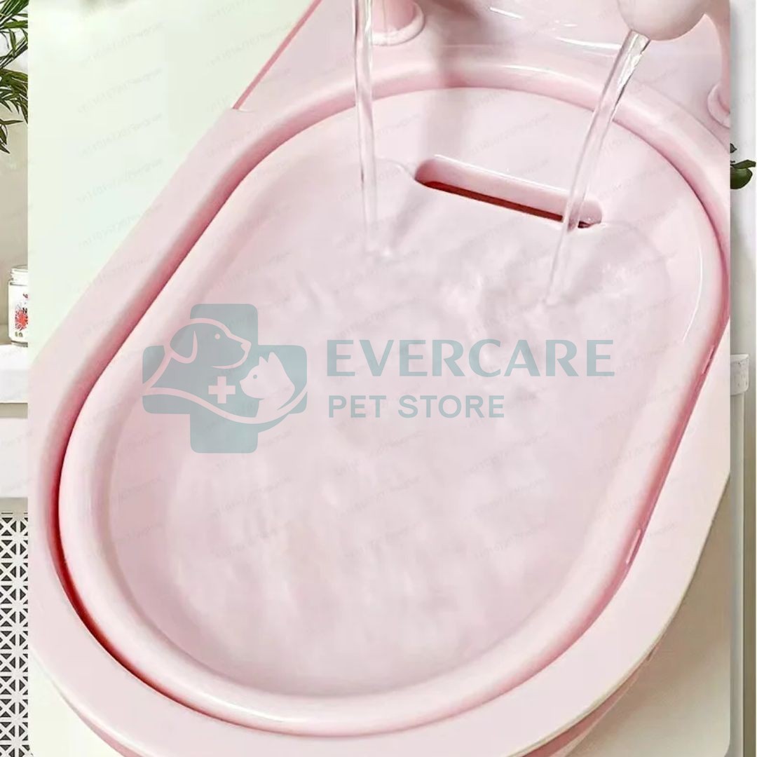Snail Shaped Cat Water Fountain thumbnail 4