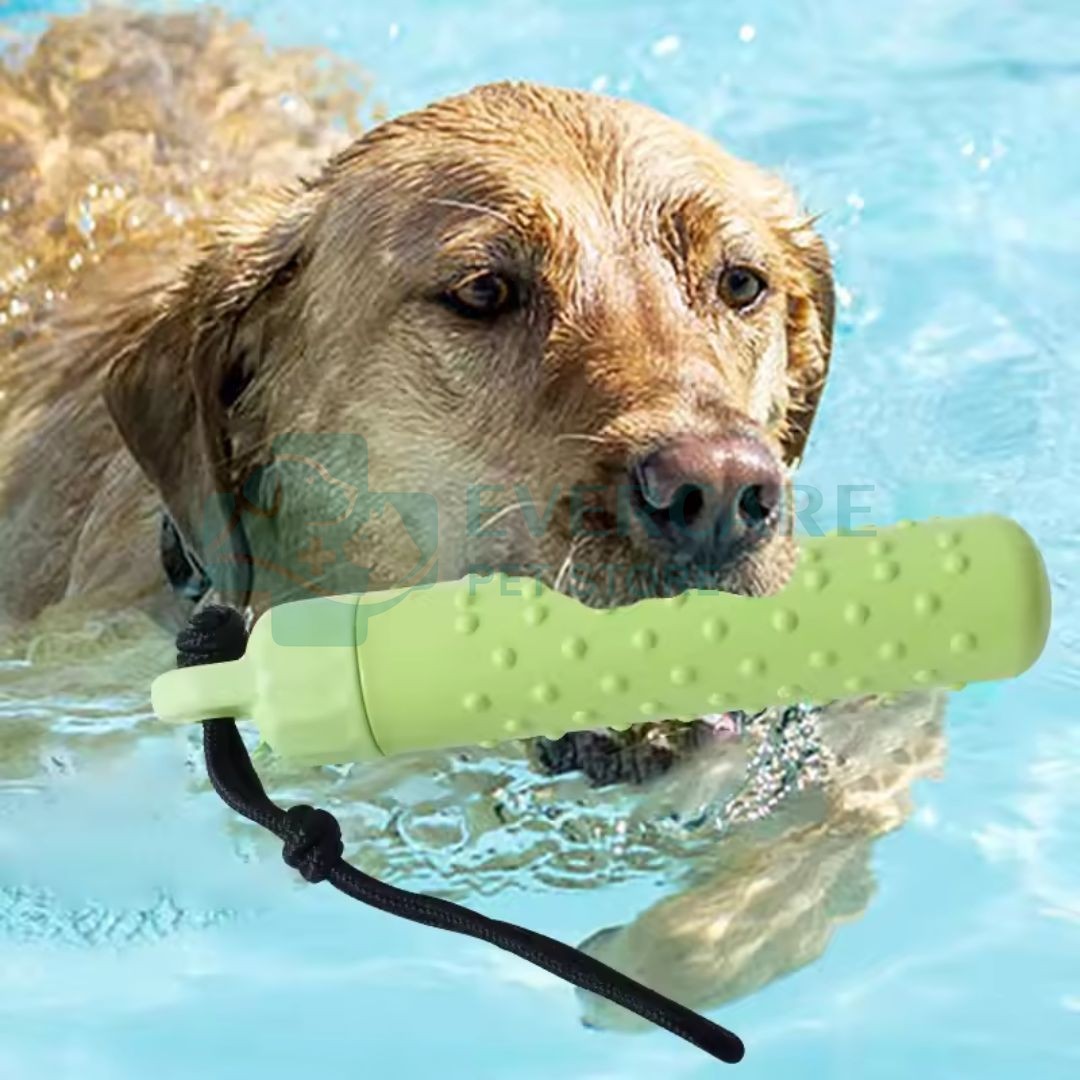 Dog Chew Toys / Teethers for Dogs / Float Bumper thumbnail 5