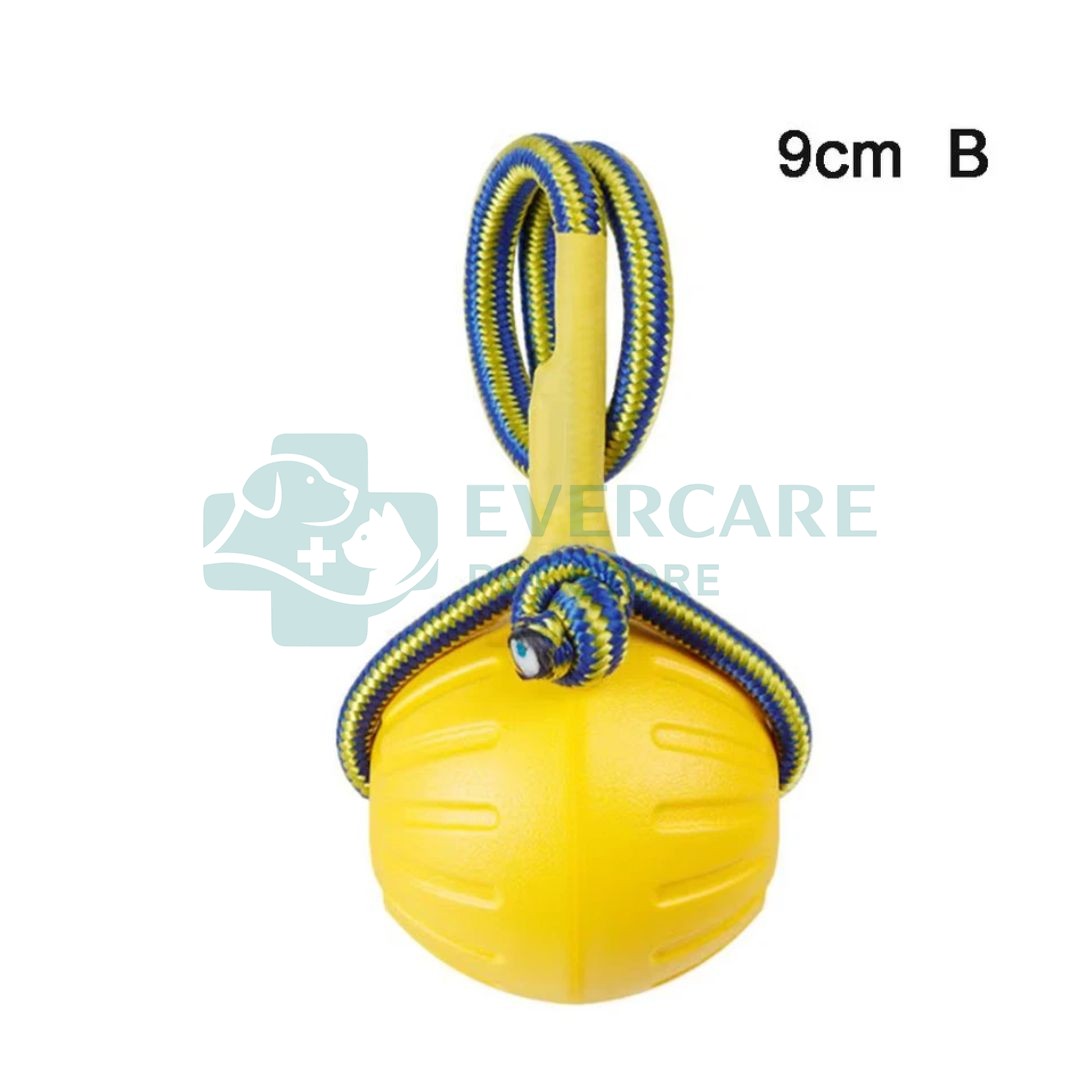 Dog Chew Toys / Teethers for Dogs / Rubber Ball