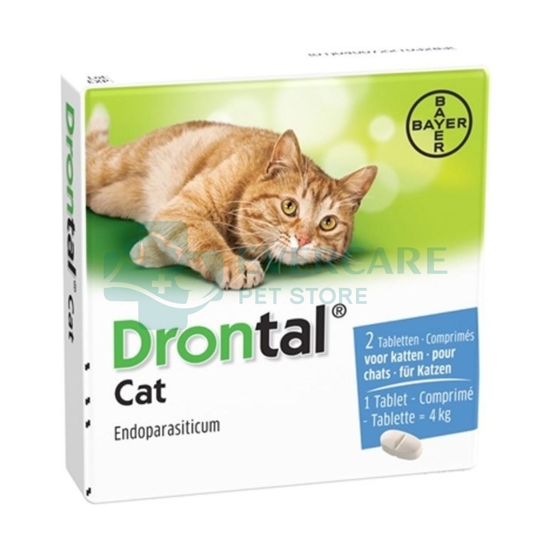 Drontal Tablet for Cats (1 Tablet) thumbnail 2