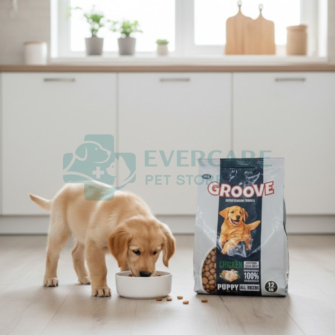 Groove Puppy Food Chicken - All Life Stages Puppy Food