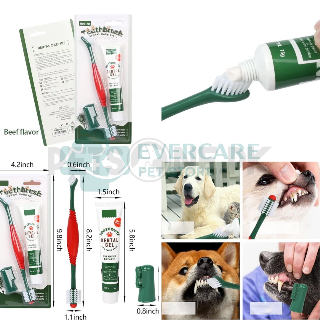 Histo Tree Tooth Brush Dental Care kit For Dogs