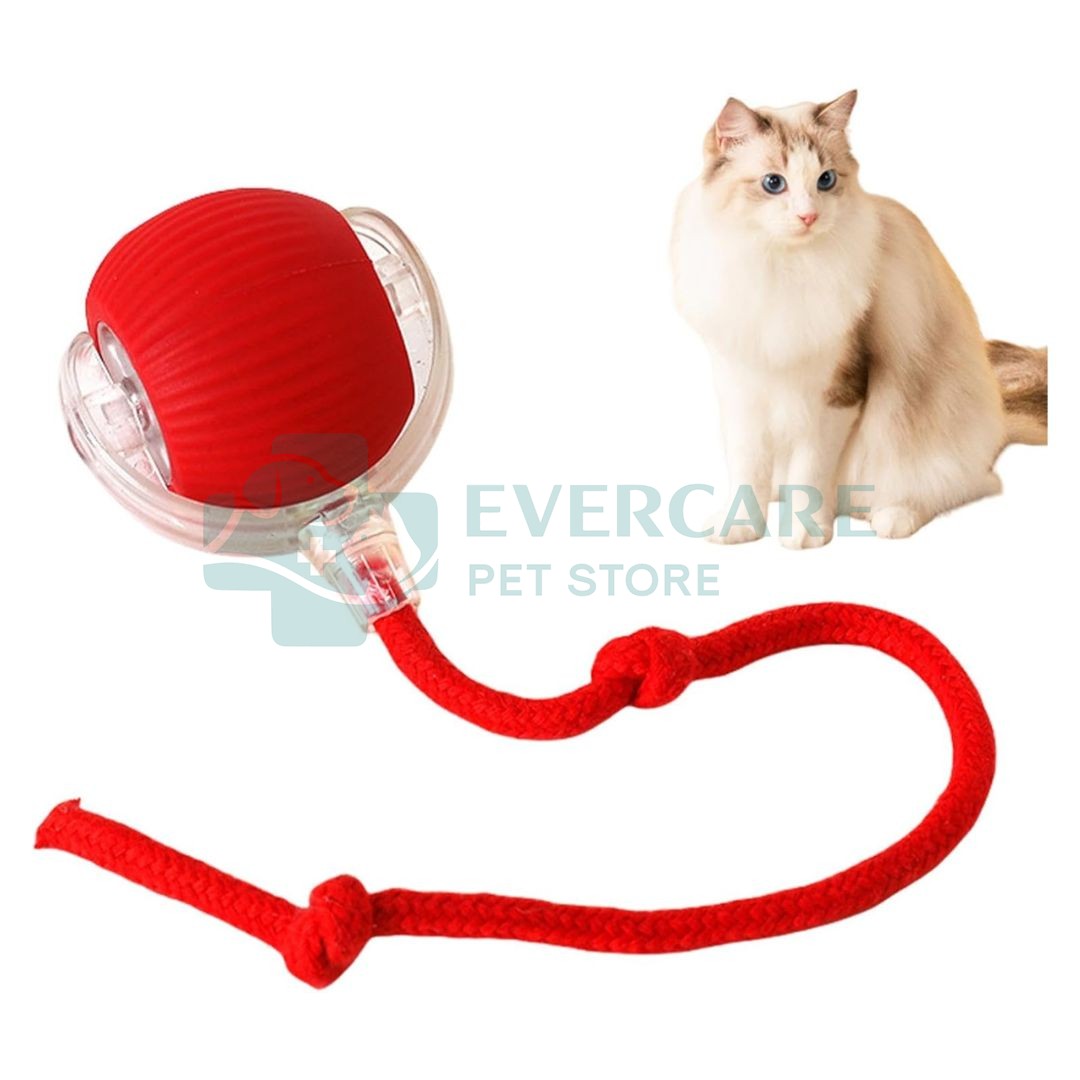 Interactive Cat Toy Electric Automatic Rolling Ball With Rope