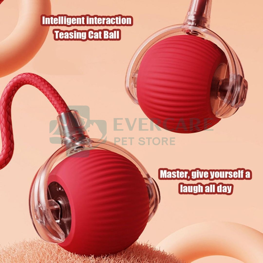 Interactive Cat Toy Electric Automatic Rolling Ball With Rope thumbnail 3