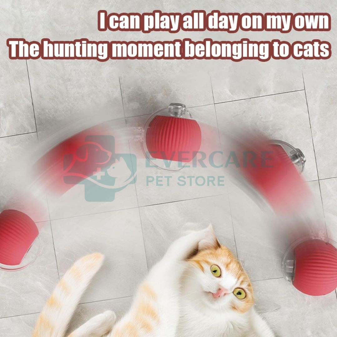 Interactive Cat Toy Electric Automatic Rolling Ball With Rope thumbnail 5