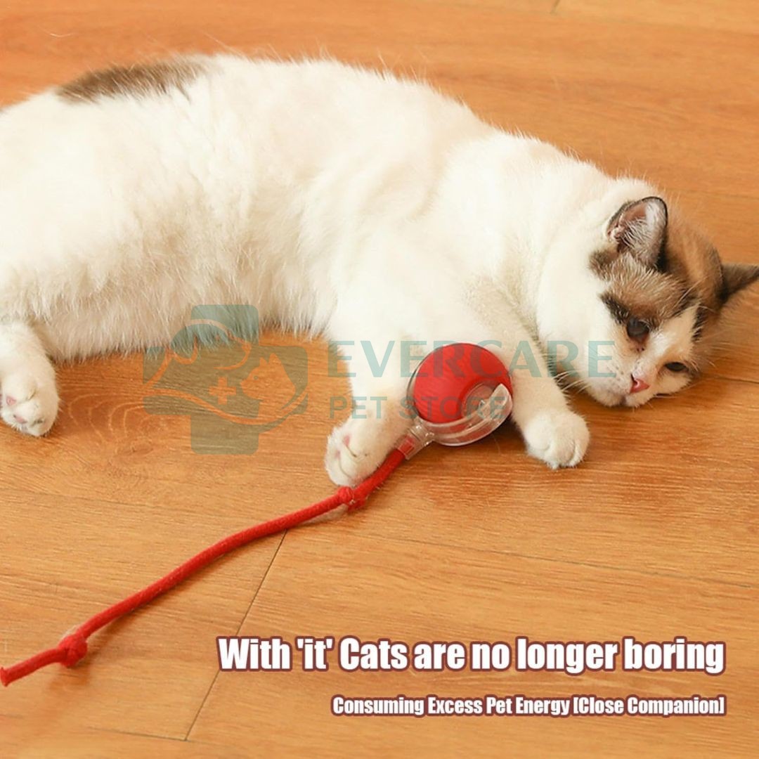 Interactive Cat Toy Electric Automatic Rolling Ball With Rope thumbnail 6