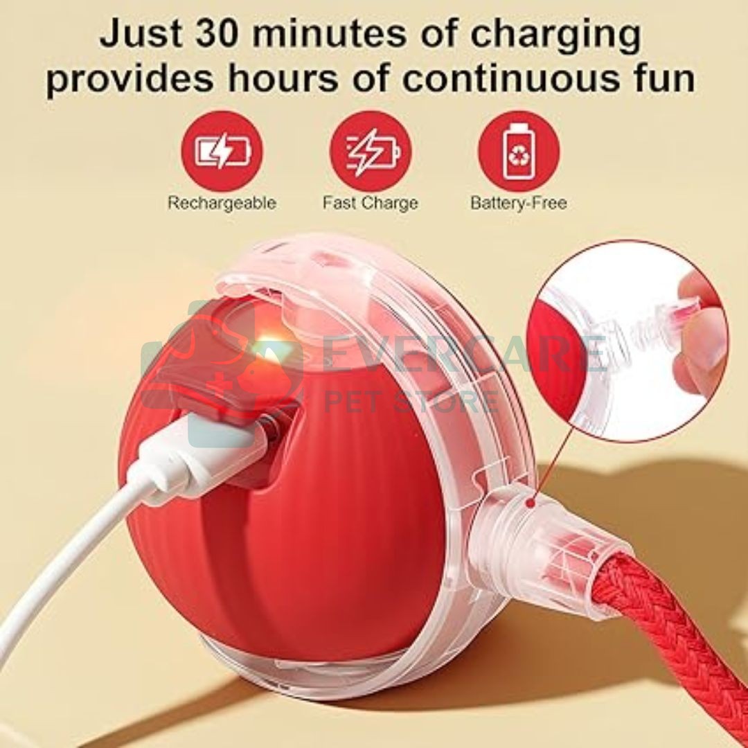 Interactive Cat Toy Electric Automatic Rolling Ball With Rope thumbnail 7