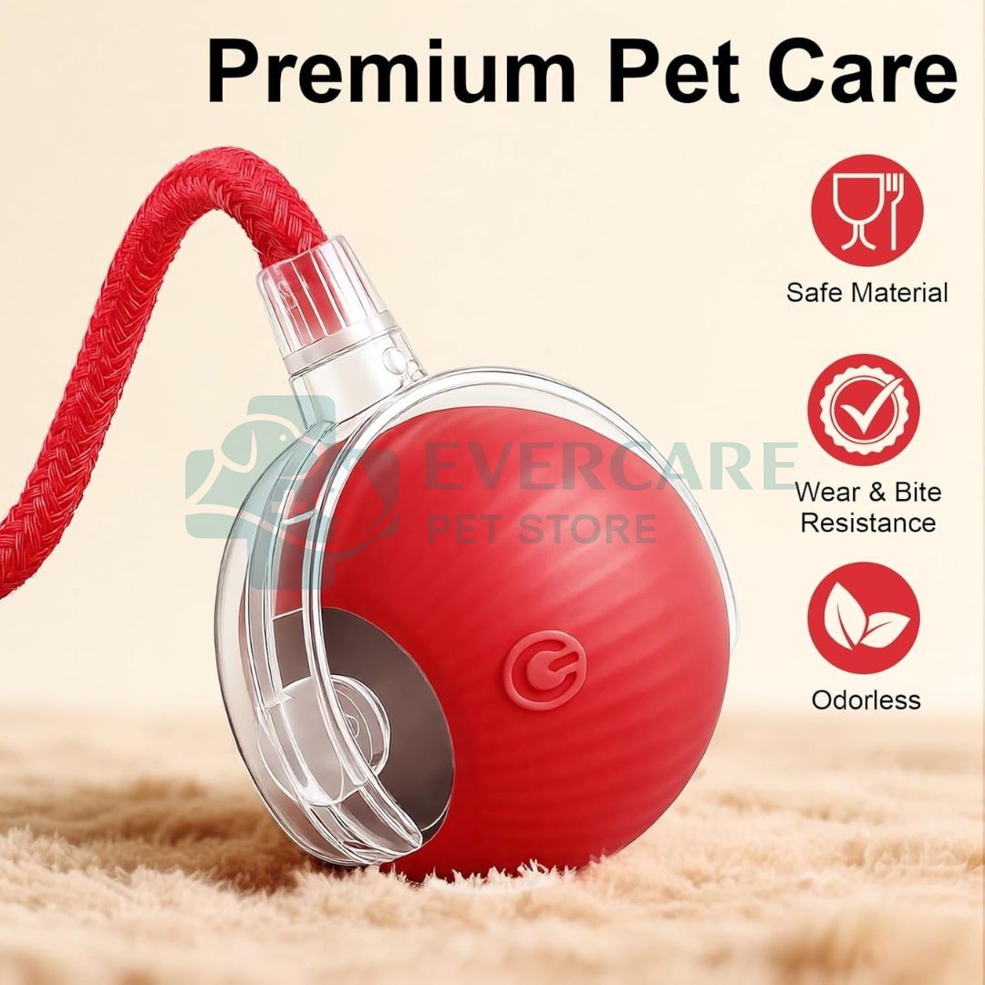 Interactive Cat Toy Electric Automatic Rolling Ball With Rope thumbnail 8