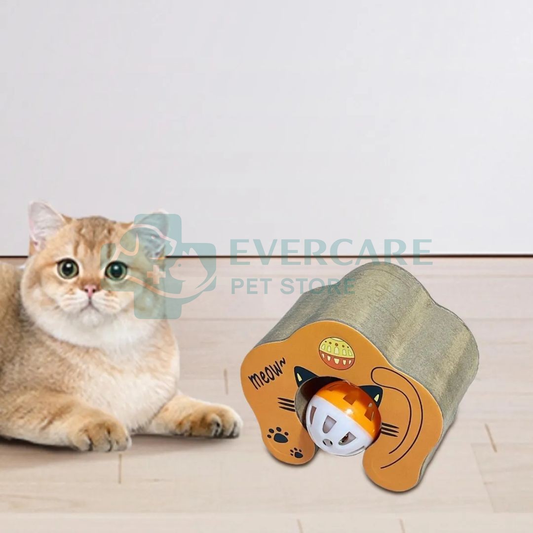 Interactive Scratch Pad in The Shape Of A Jug Ball With Catnip thumbnail 3