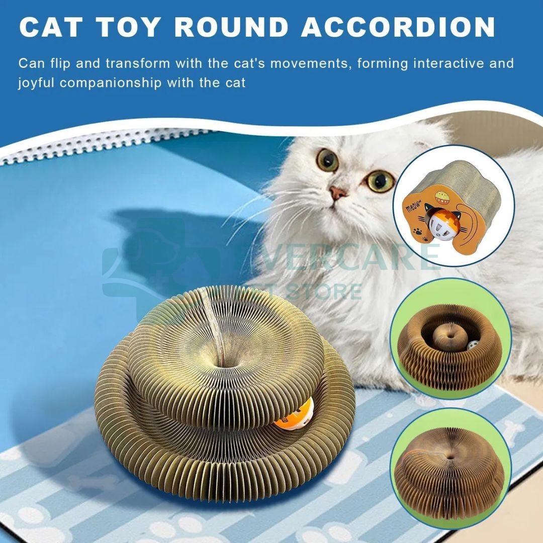 Interactive Scratch Pad in The Shape Of A Jug Ball With Catnip thumbnail 4