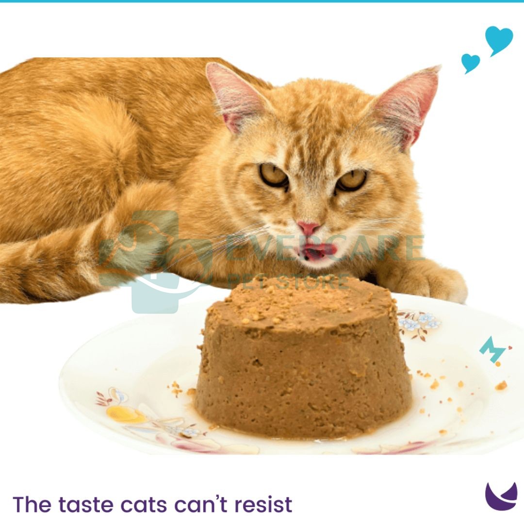 Maybel Elite Premium Wet Cat Food - 400 Gram thumbnail 4