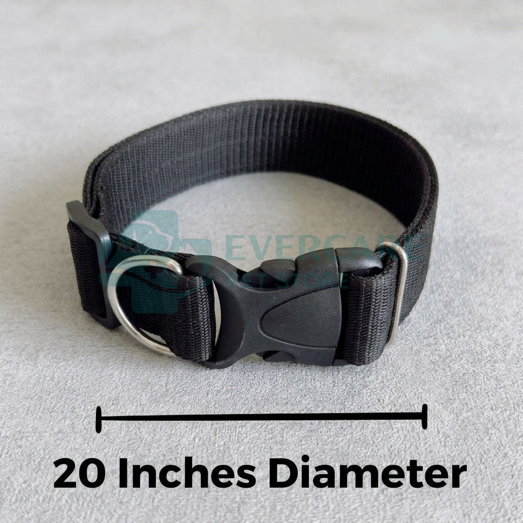 Nylon Dog Collar With Plastic Clip Lock