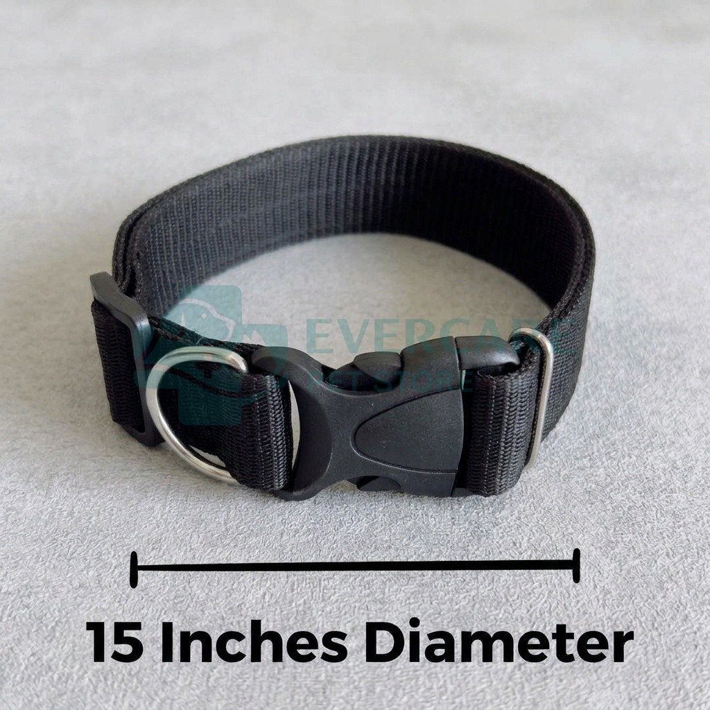 Nylon Dog Collar With Plastic Clip Lock