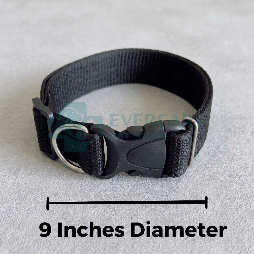 Nylon Dog Collar With Plastic Clip Lock