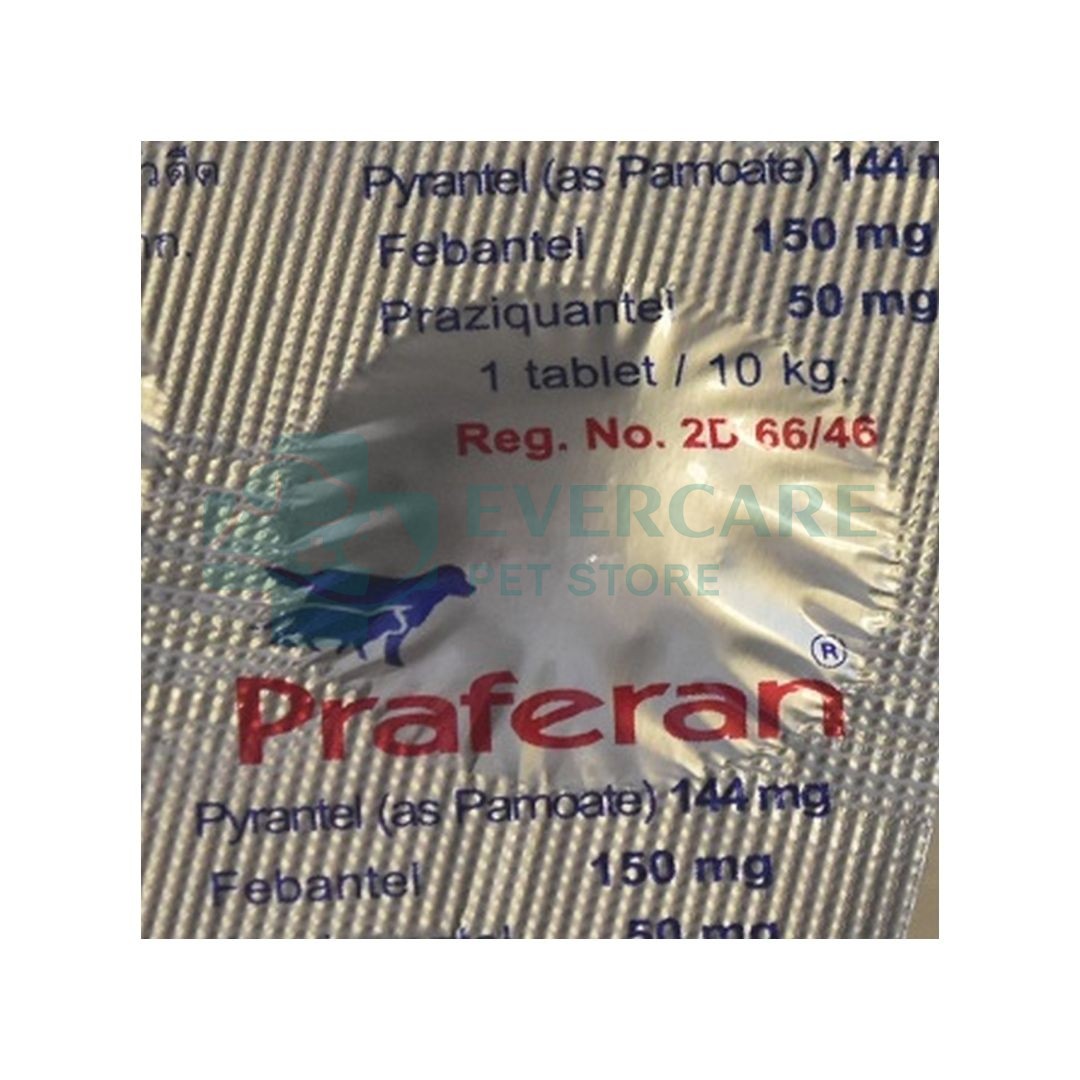 Praferan - 1 Deworming Tablet for Cat n Dogs / (Helminticide - L) thumbnail 2